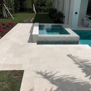 Shell Stone Limestone